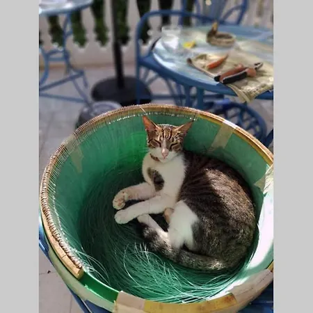 Im Herzen Von Koroni (Messinia)