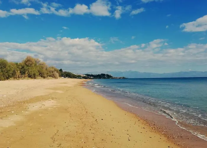 Apartment Im Herzen Von