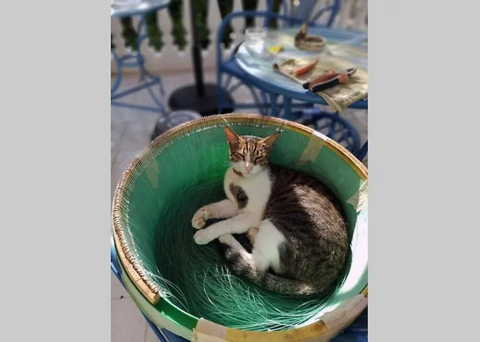 Im Herzen Von Koroni (Messinia)