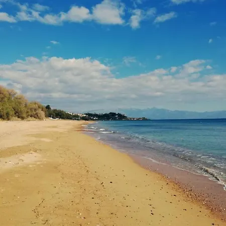 Lejlighed Im Herzen Von